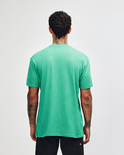 American Apparel Adult CVC T-shirt (2001CVC)