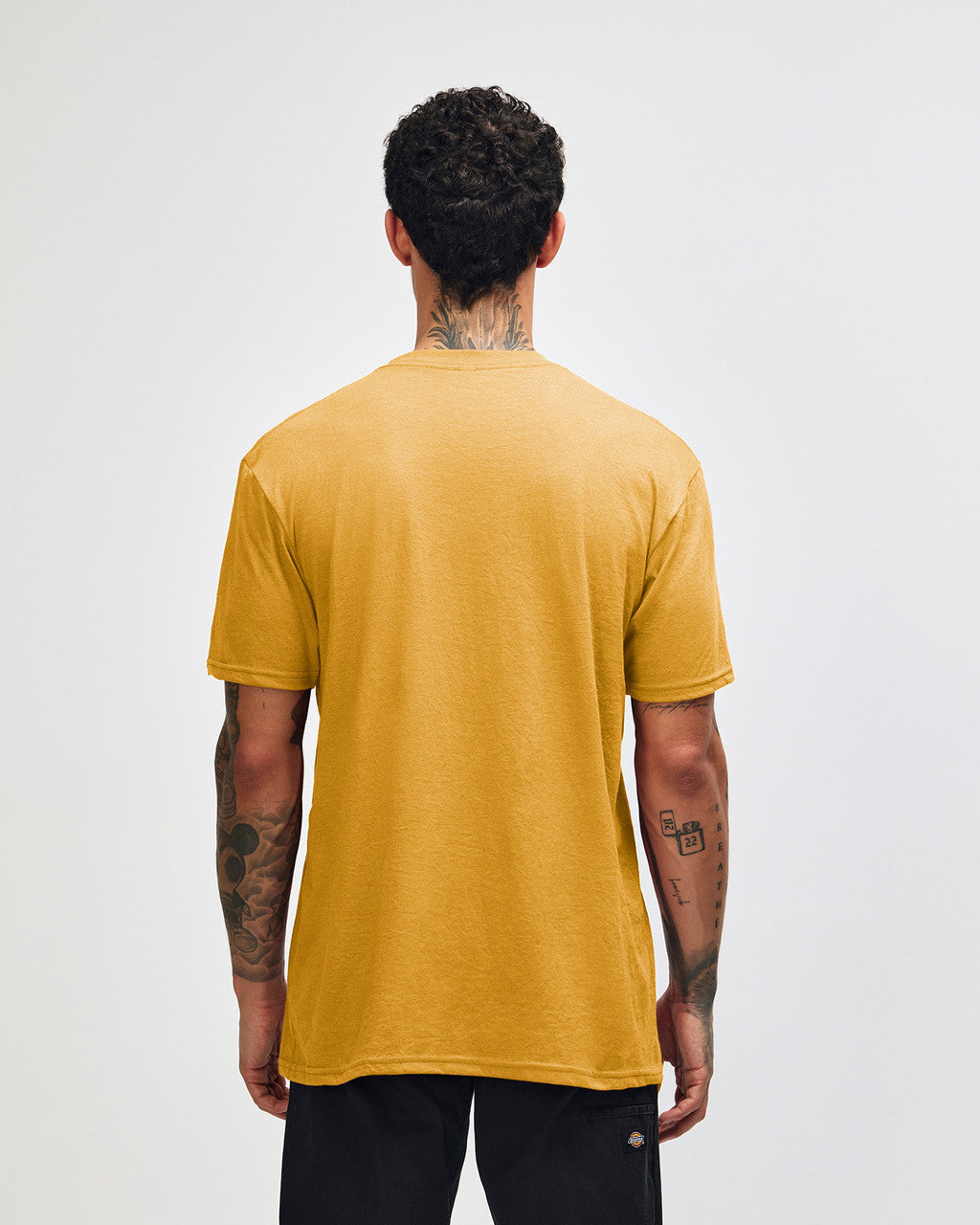 American Apparel Adult CVC T-shirt (2001CVC)
