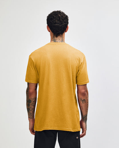 American Apparel Adult CVC T-shirt (2001CVC)